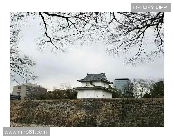 奈良足球明星的崛起与成就探秘及其对当地足球的影响 奈良足球明星的崛起与成就探秘及其对当地足球的影响